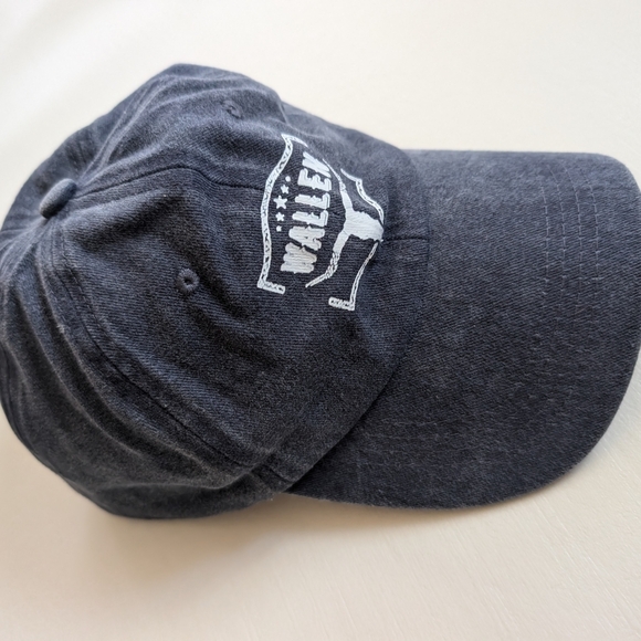 🎀 $5 SHEIN Blue Baseball Hat Logo Design - Picture 5 of 8